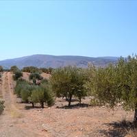 Land plot in Greece, Crete