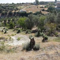 Земельный участок в Греции, Крит, 1760 кв.м.