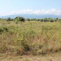 Земельный участок в Греции, Центральная Македония, Центр