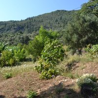 Land plot in Greece, Ionian Islands, 80 sq.m.