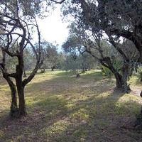 Other in Greece, Central Macedonia, Center, 90 sq.m.