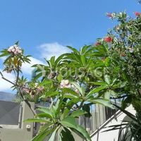 Villa in Spain, Canary Islands, Santa Cruz de Tenerife, 262 sq.m.