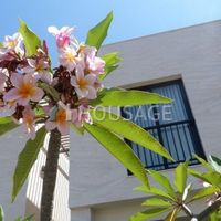 Villa in Spain, Canary Islands, Santa Cruz de Tenerife, 262 sq.m.