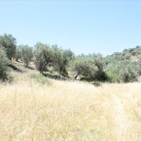 Земельный участок в Греции, Центральная Македония, Центр