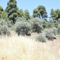 Земельный участок в Греции, Центральная Македония, Центр