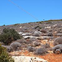 Land plot in Greece, Crete