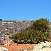 Land plot in Greece, Crete