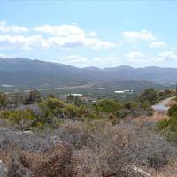 Land plot in Greece, Crete