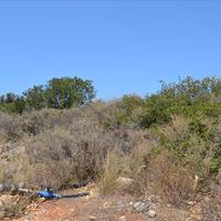 Land plot in Greece, Crete
