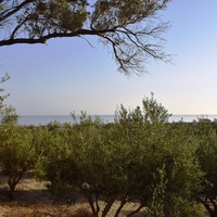 Земельный участок в Греции, Крит, Ханья, 4000 кв.м.