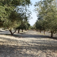 Земельный участок в Греции, Крит, Ханья, 4000 кв.м.