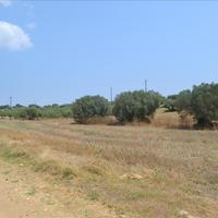 Land plot in Greece, Central Macedonia, Center