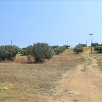 Land plot in Greece, Central Macedonia, Center