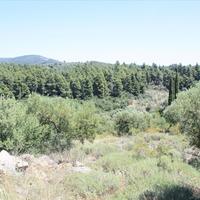 Земельный участок в Греции, Центральная Македония, Центр