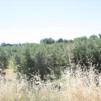 Земельный участок в Греции, Центральная Македония, Центр