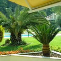 Other in Greece, Central Macedonia, Center, 120 sq.m.