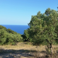 Земельный участок в Греции, Центральная Македония, Центр