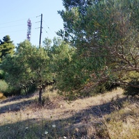 Земельный участок в Греции, Центральная Македония, Центр