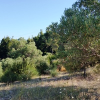 Земельный участок в Греции, Центральная Македония, Центр