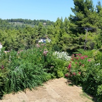 Таунхаус в Греции, Центральная Македония, Центр, 50 кв.м.