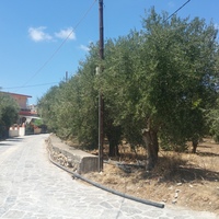 Land plot in Greece, Crete, 1091 sq.m.