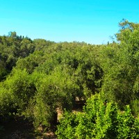 Other in Greece, Ionian Islands, 130 sq.m.