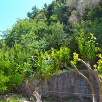 Flat in Greece, Ionian Islands, 42 sq.m.