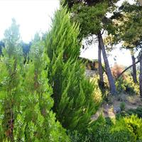 Townhouse in Greece, Central Macedonia, Center, 115 sq.m.