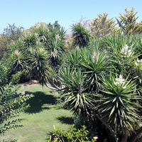 Villa in Greece, Crete, Chania, 250 sq.m.