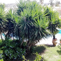 Villa in Greece, Crete, Chania, 250 sq.m.