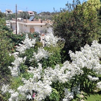 Villa in Greece, Crete, Chania, 250 sq.m.