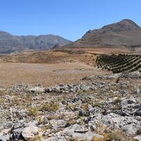 Land plot in Greece, Crete, 32000 sq.m.