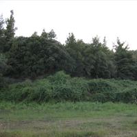 Other in Greece, Central Macedonia, Khal, 210 sq.m.