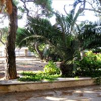 Other in Greece, 220 sq.m.