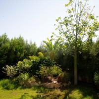 Вилла на Кипре, Лима, 440 кв.м.