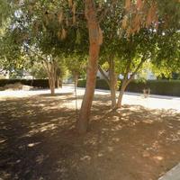 Flat in Republic of Cyprus, Lima, 114 sq.m.