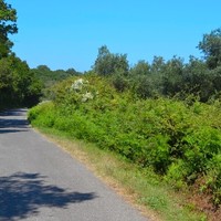 Земельный участок в Греции, Ионические острова