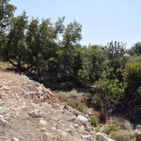 Land plot in Greece, Crete, 707 sq.m.