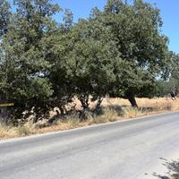 Land plot in Greece, Crete, 707 sq.m.