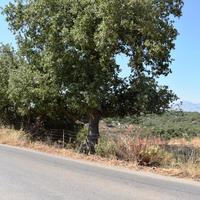 Land plot in Greece, Crete, 707 sq.m.