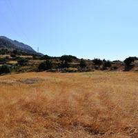 Land plot in Greece, Crete, 8000 sq.m.