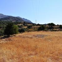 Land plot in Greece, Crete, 8000 sq.m.