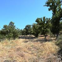 Land plot in Greece, Crete, 2000 sq.m.