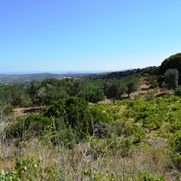 Land plot in Greece, Crete, 3500 sq.m.