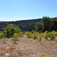 Land plot in Greece, Crete, 3500 sq.m.