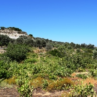 Land plot in Greece, Crete, 3500 sq.m.