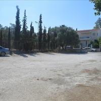 Другое в Греции, Аттика, Афины, 320 кв.м.