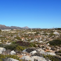 Земельный участок в Греции, Крит, Ханья, 6250 кв.м.