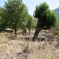 Другое в Греции, Крит, 88 кв.м.