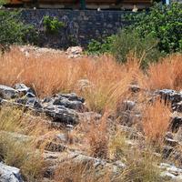 Земельный участок в Греции, Крит